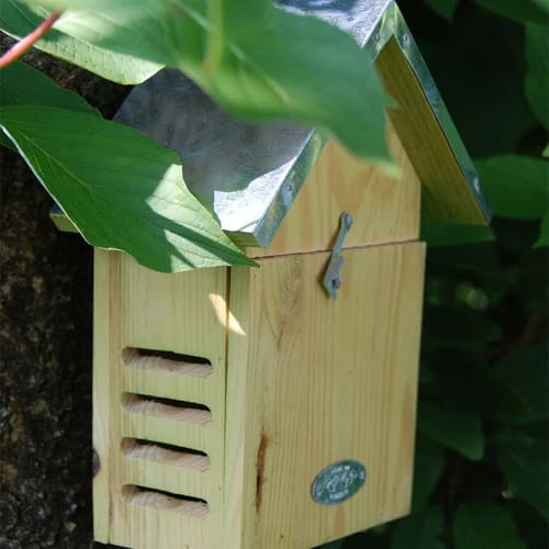 Esschert Design Statuettes Et Figurines Abri à Coccinelles 7 Esschert Design Statuettes Et Figurines Abri à Coccinelles – Image 5