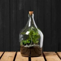 Esschert Design Vases Bouteille Décoration Pour Terrarium 5 Litres -Sablie Vases Soldes bouteille decoration pour terrarium 5 litres 3