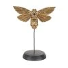 Maisons Du Monde Statuettes Et Figurines Déco à Poser Papillon En Résine Noir Et Doré H21 -Sablie Vases Soldes deco a poser papillon en resine noir et dore h21 1000 6 7 226327 1
