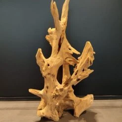 Dijk Statuettes Et Figurines Racine Décorative En Teck H70 Cm -Sablie Vases Soldes racine decorative en teck h70 cm 5