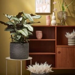 Mica Decorations Vases Vase En Aluminium Beige H24 -Sablie Vases Soldes vase en aluminium beige h24 7