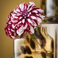 Mica Decorations Vases Vase En Verre Recyclé Marron H22,5 -Sablie Vases Soldes vase en verre recycle marron h22 5 1